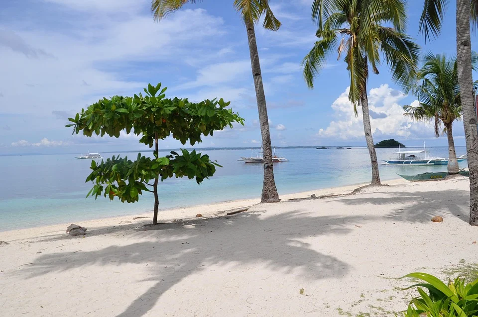 beach-1116952_960_720.jpg