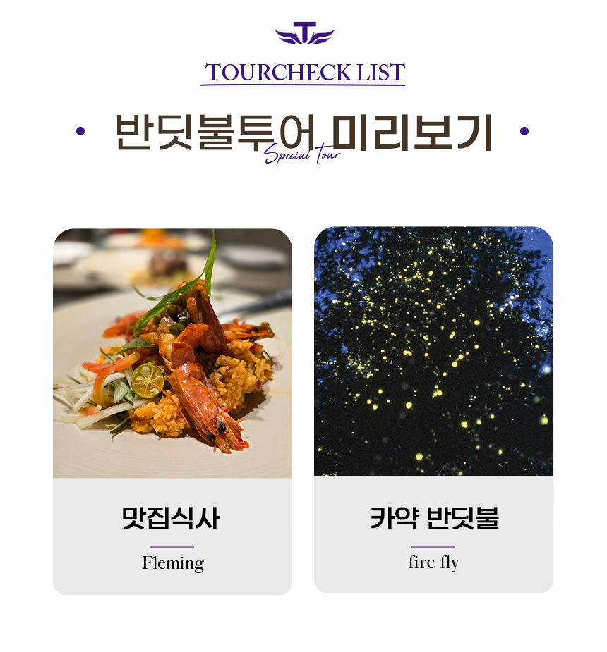 하프데이-반딧불_02.png