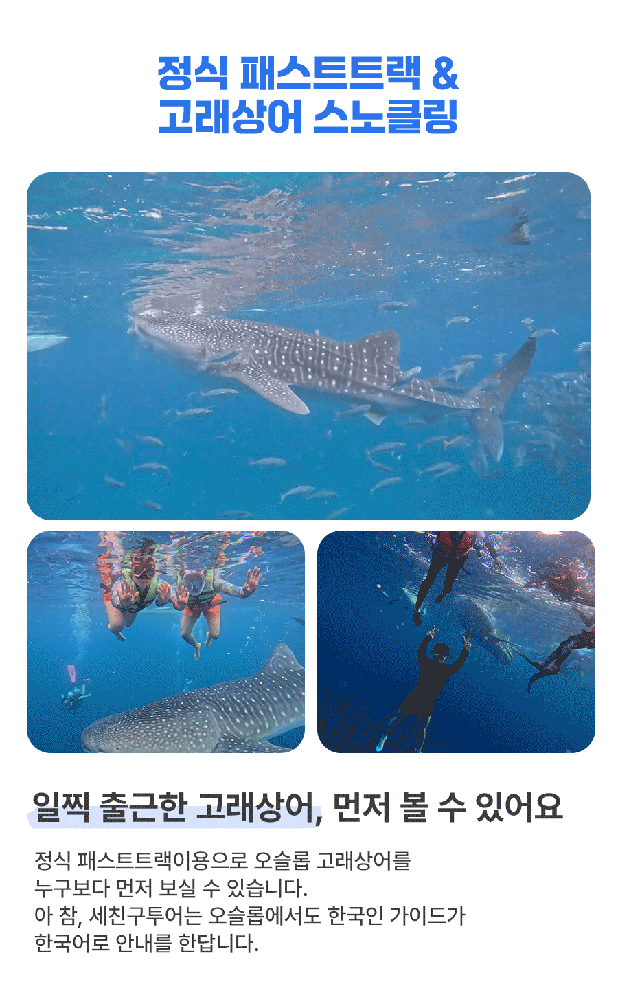 5(오슬롭).gif
