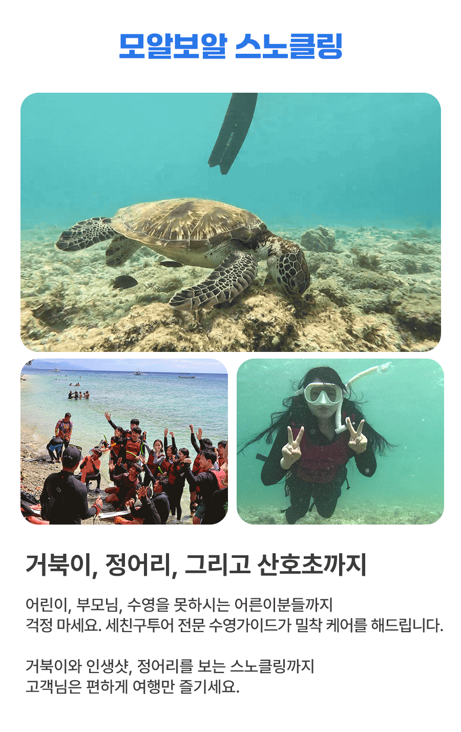 7(모알보알).gif