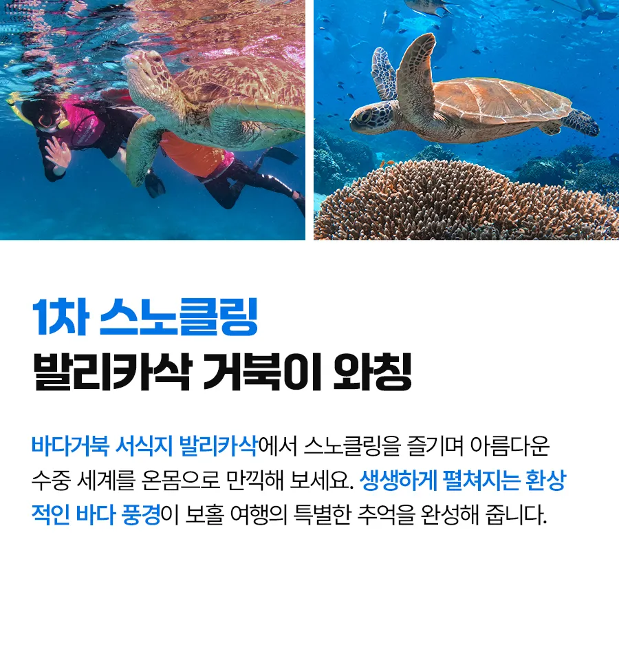 보홀_라이트팩_02_08.jpg