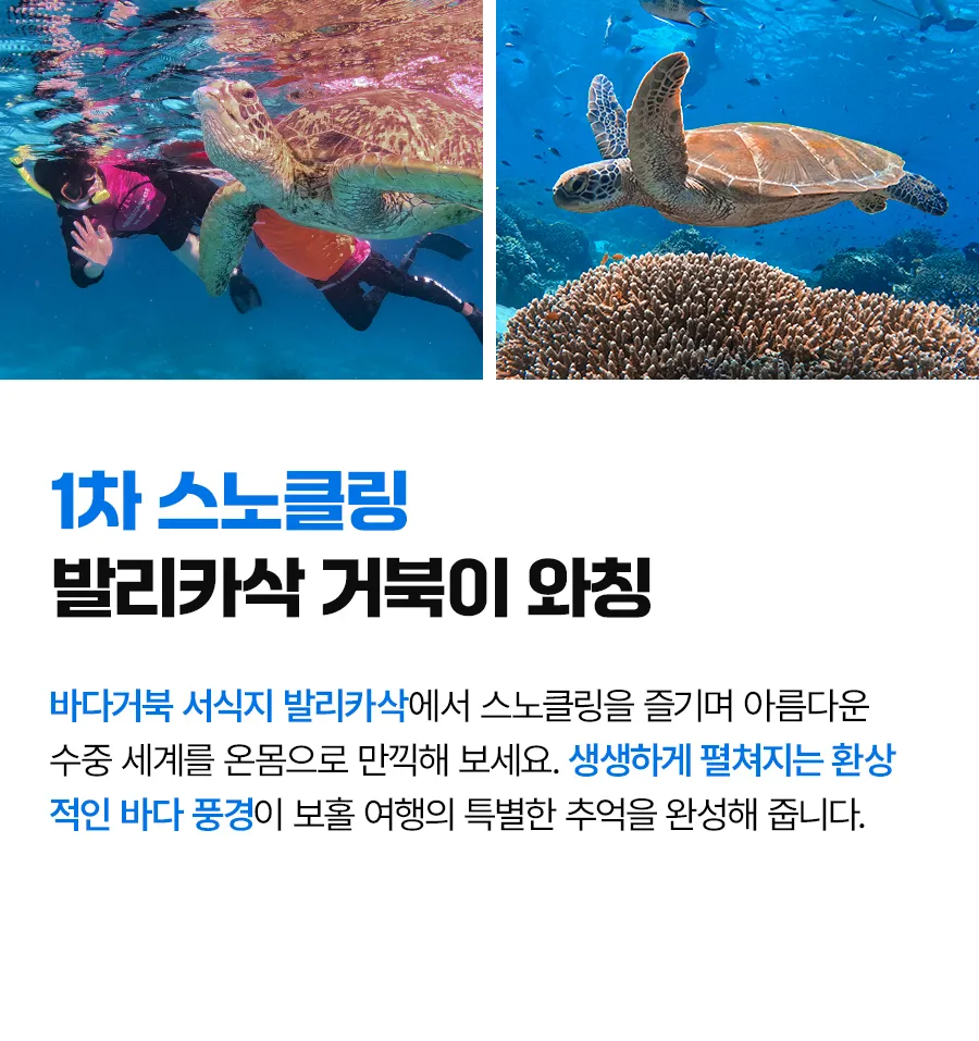 보홀_슬림_02_05.jpg