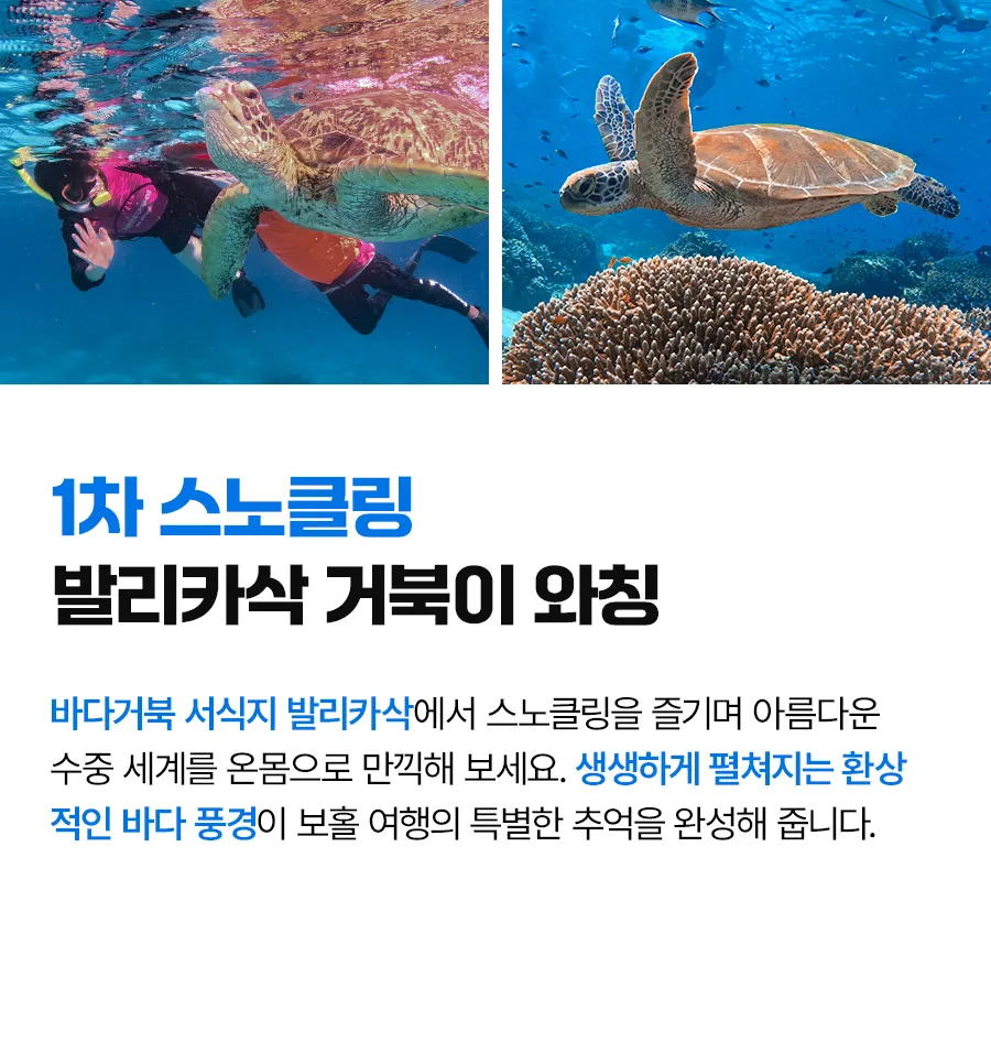 보홀_하프호핑_02_05.jpg
