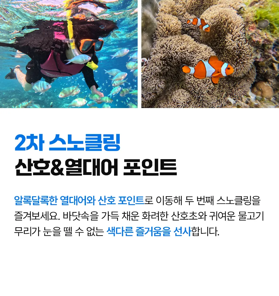 보홀_하프호핑_02_07.jpg