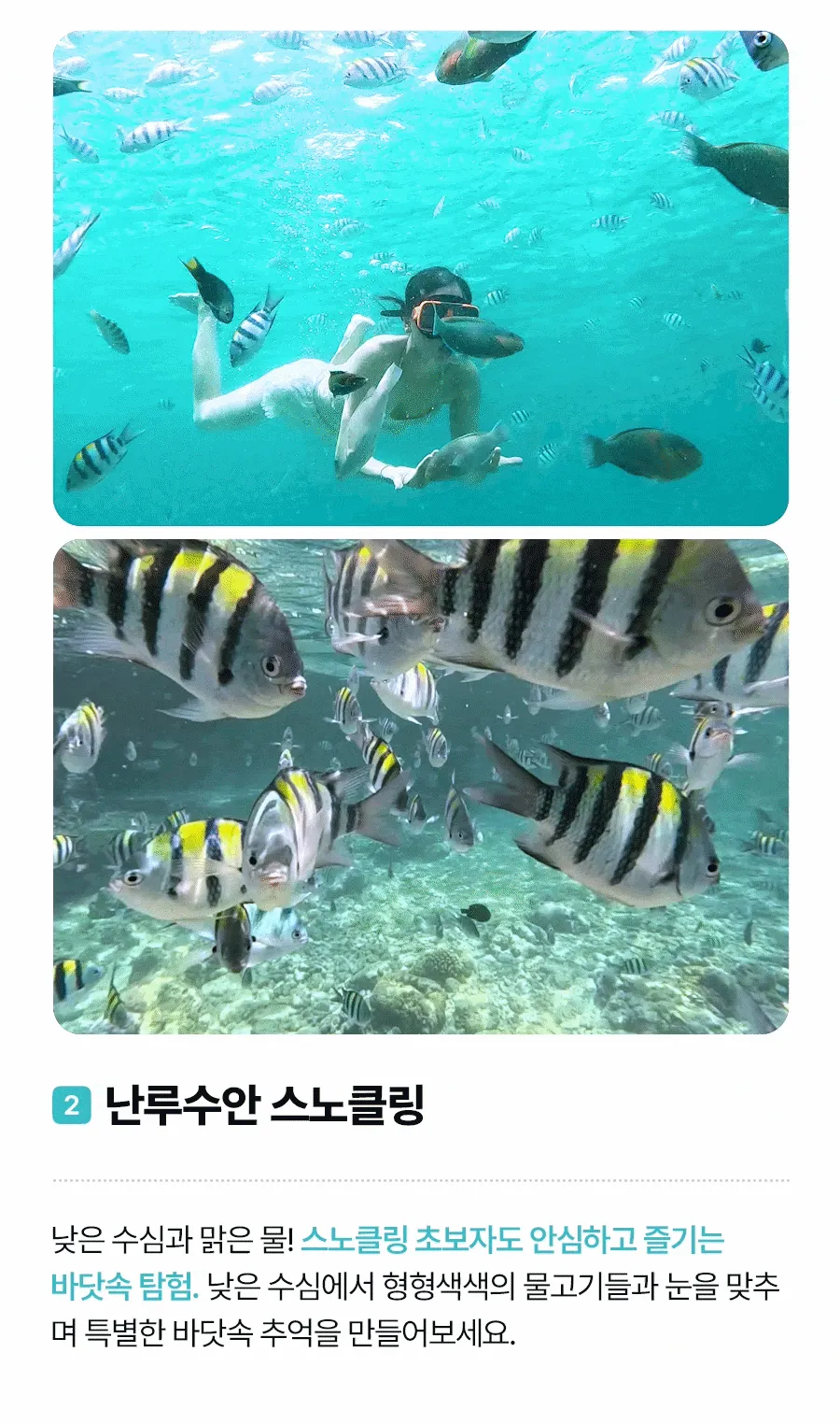 투썸호핑02_03.gif