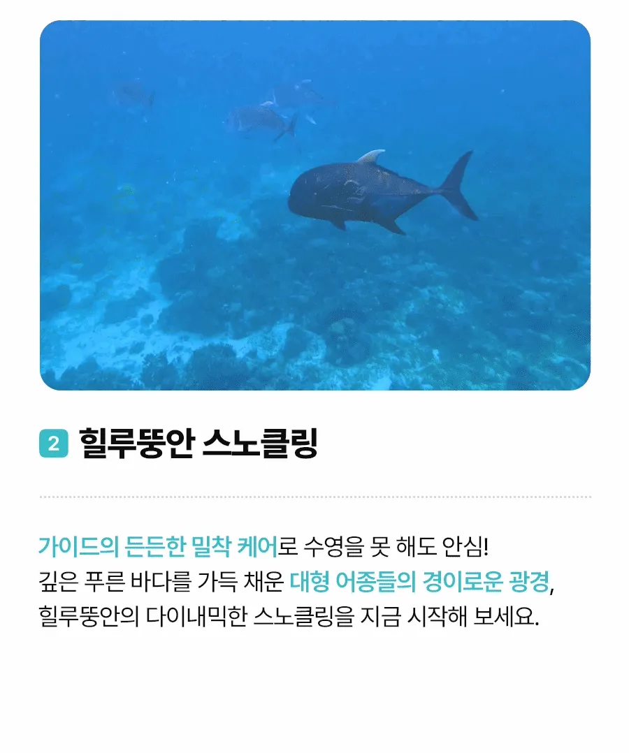 투썸호핑02_05.gif