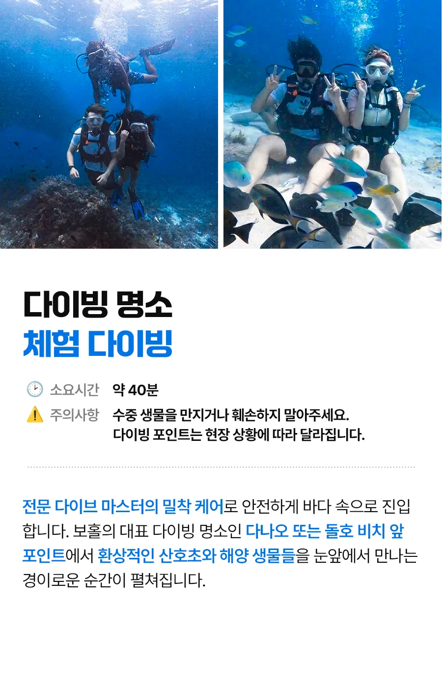 보홀_체험다이빙_05.jpg