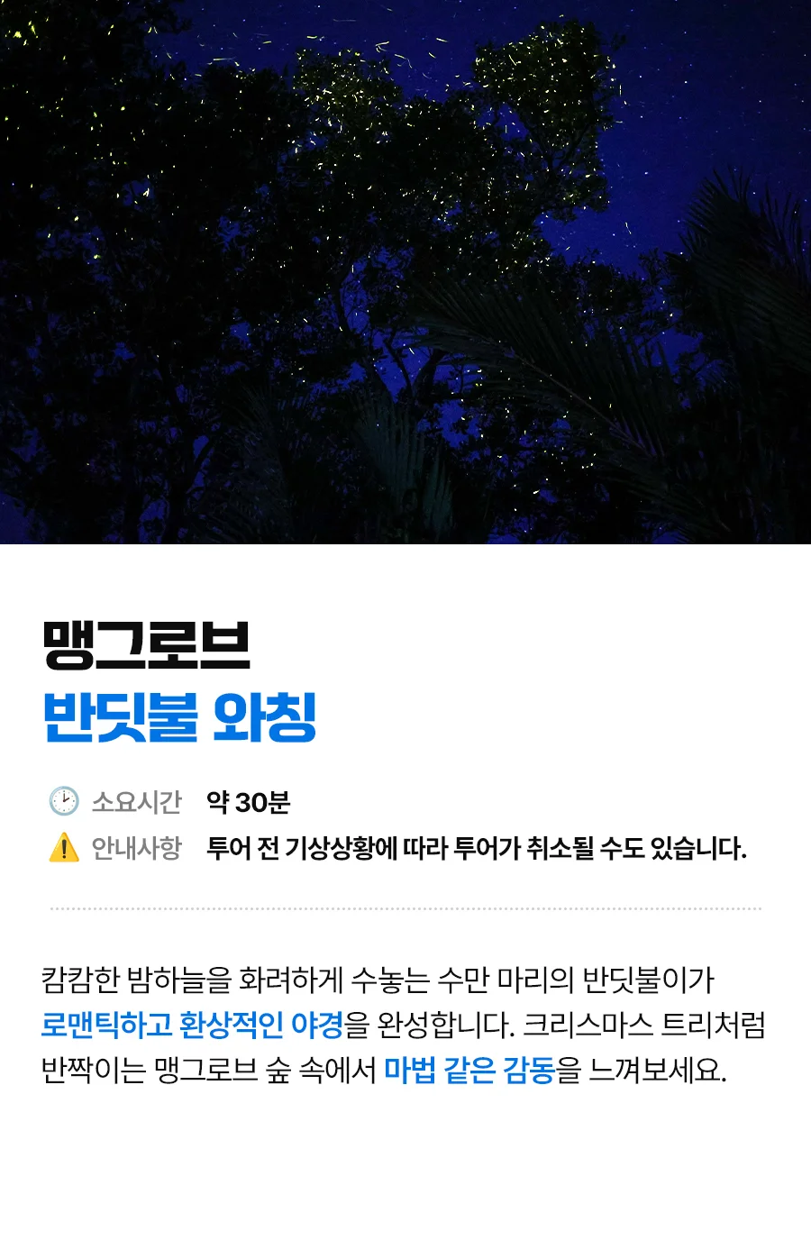 보홀_반딧불투어_07.jpg