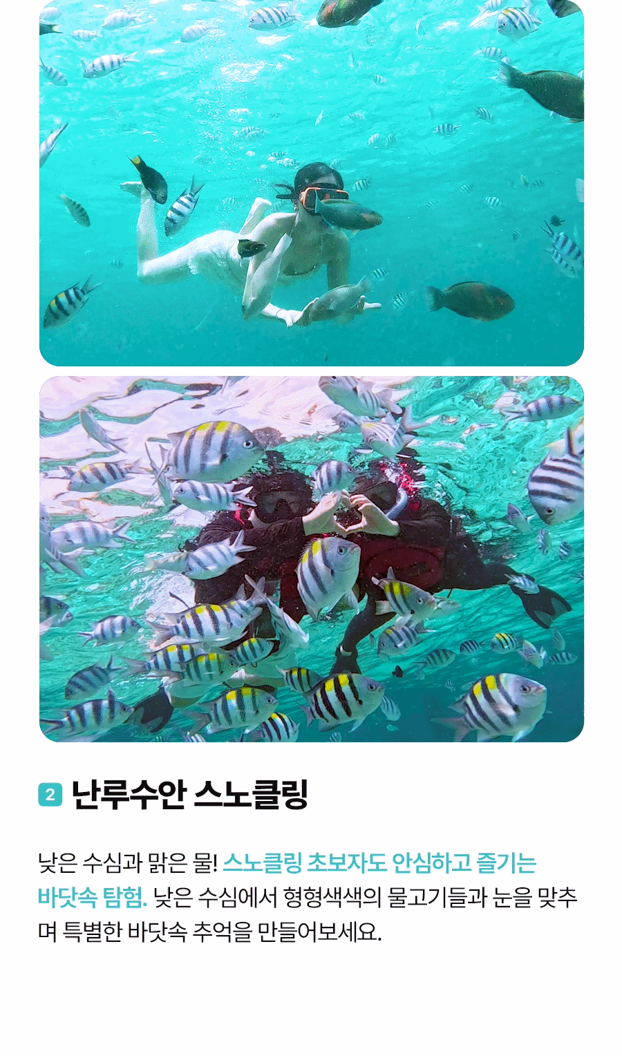 프리미엄호핑02_03.gif