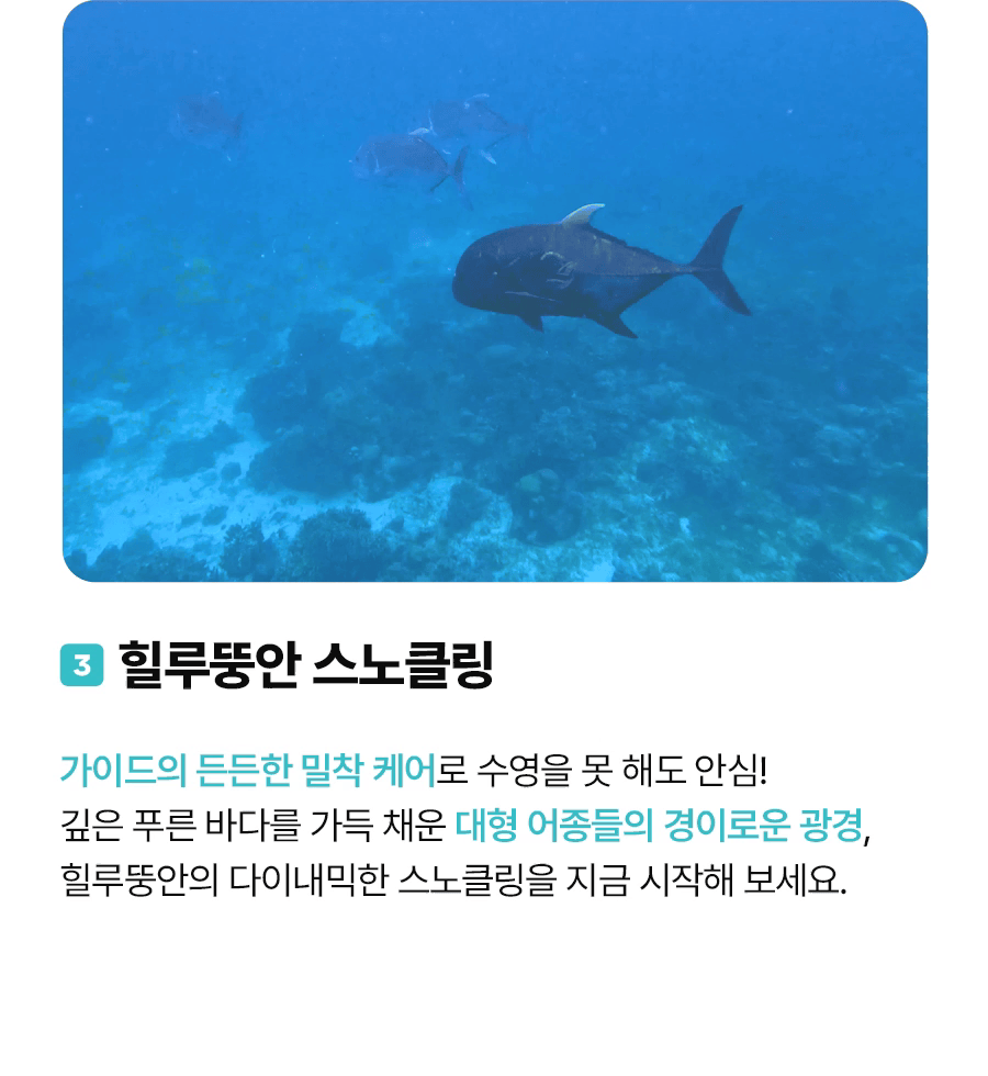 프리미엄호핑02_05.gif