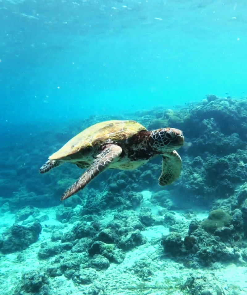 스크린샷 2026-09-09 155152.png