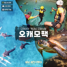 오캐모팩