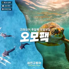 오모팩