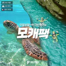 모캐팩