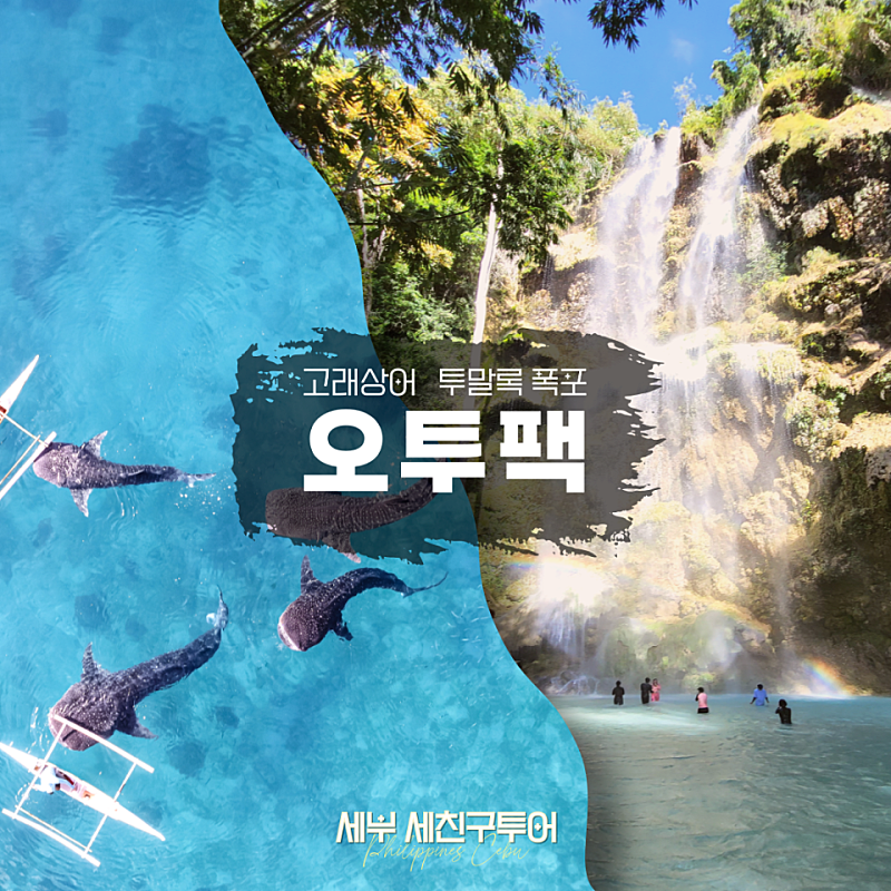 오투팩