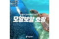 썸네일 1
