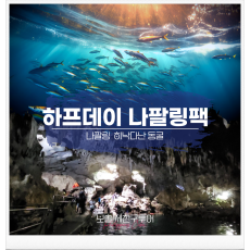 하프나팔링팩