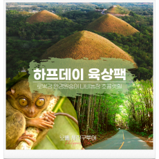 하프육상팩