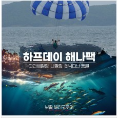 하프해나팩