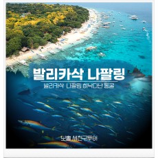 원데이 발링팩
