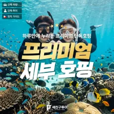 프리미엄세부호핑