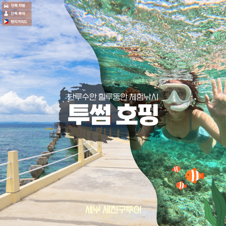 투썸호핑