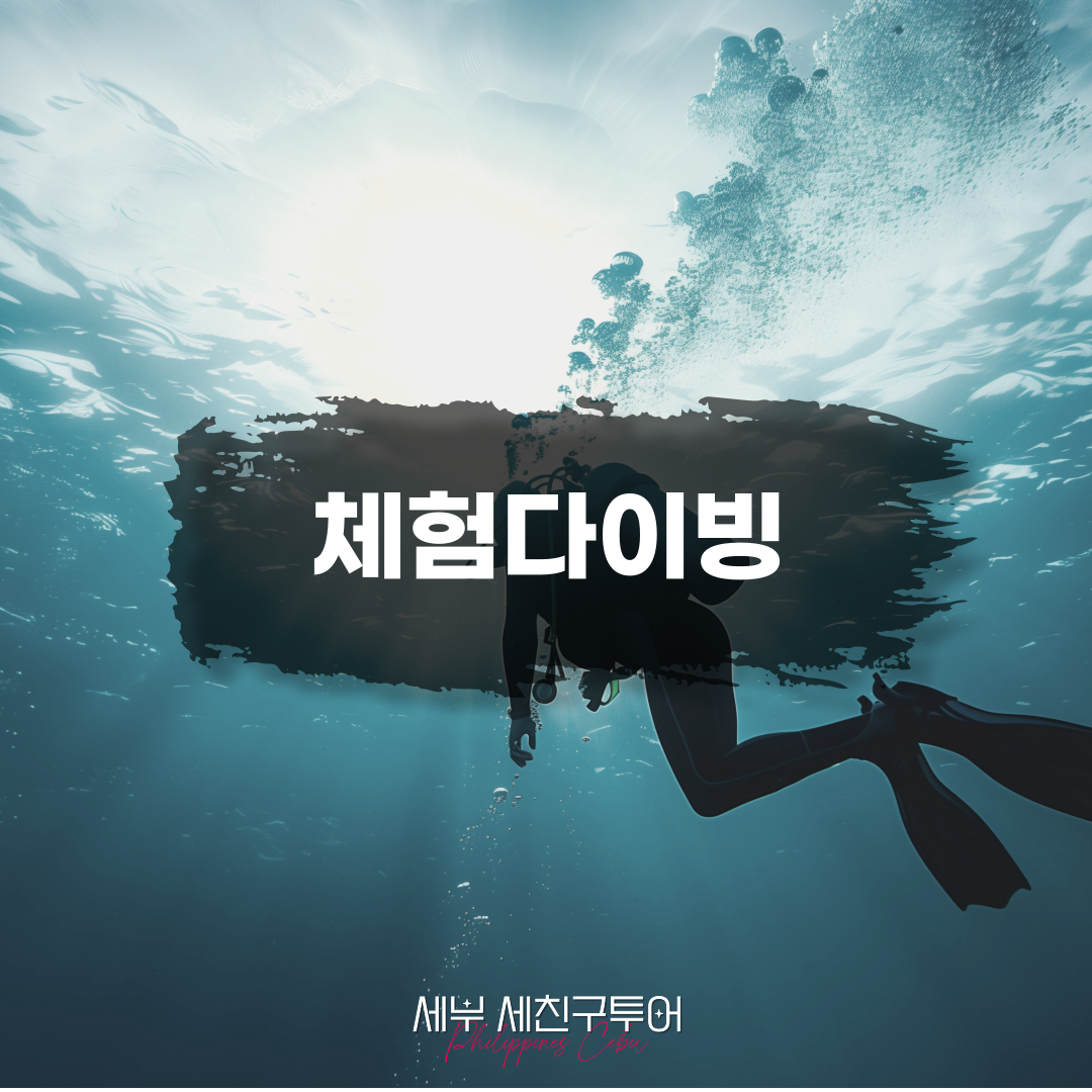 체험다이빙팩